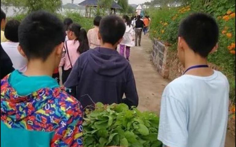 吉洋有机生活